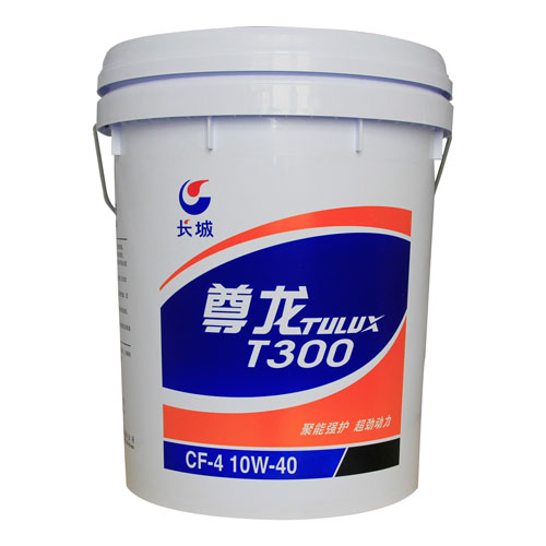 T300